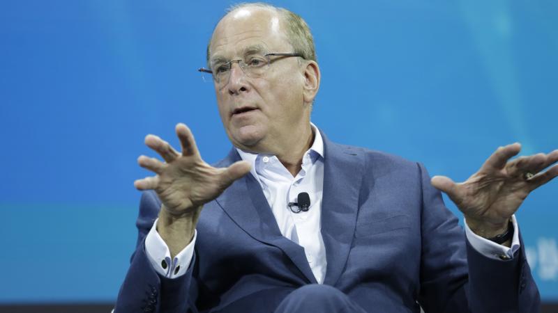 Larry Fink at 2022 New York Times DealBook