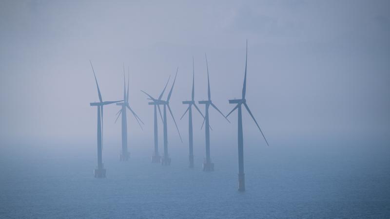 An offshore wind farm