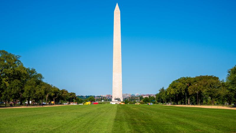 National Mall lawn (Washington, D.C.)