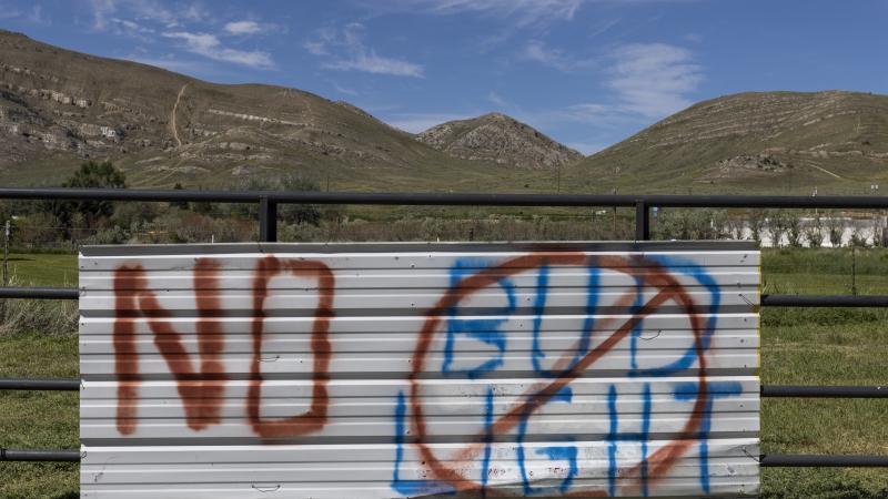 Anti-Bud Light graffiti 