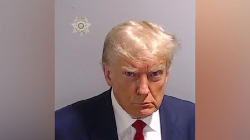 Donald Trump Mugshot 