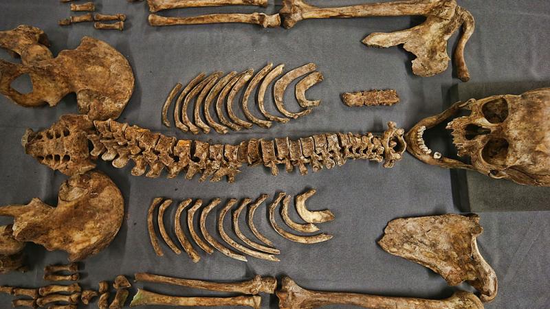 Skeleton in archaeology
