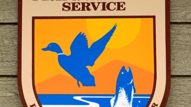 Fish and wildlife service