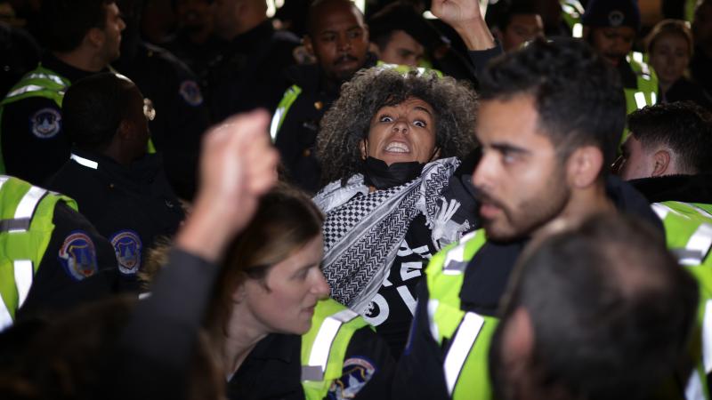 DNC ceasefire protest, Washington, D.C., Nov. 15, 2023
