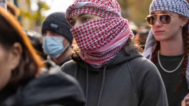Pro Palestinian rally on campus