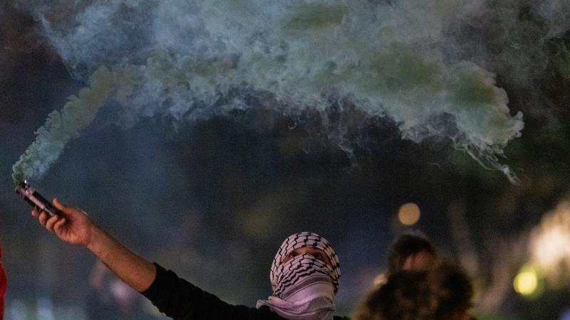 PalestinianProtestersLA