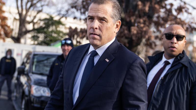 Hunter Biden meeting with associates at VP mansion underscores role