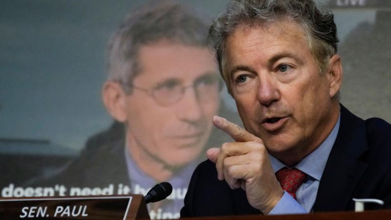 Senator Rand Paul watches Anthony Fauci video