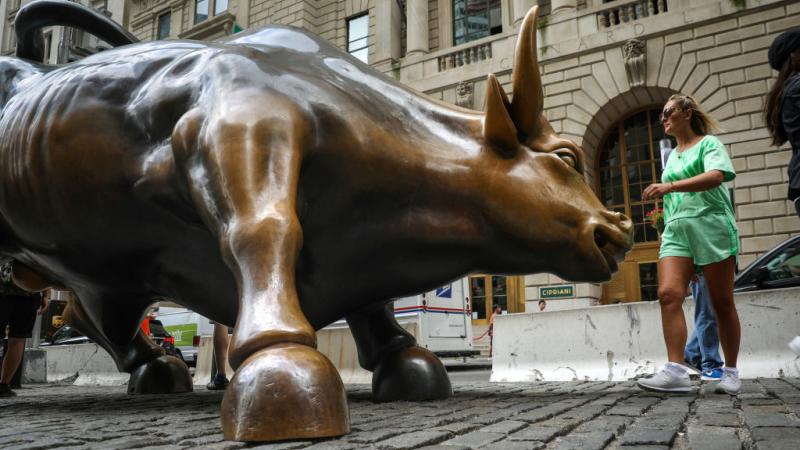 Stock Market bull