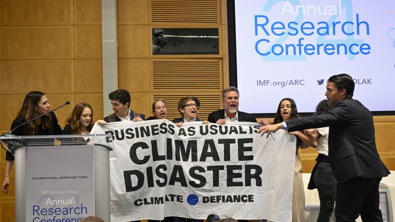 Climate activists, Washington D.C., Nov. 9, 2023