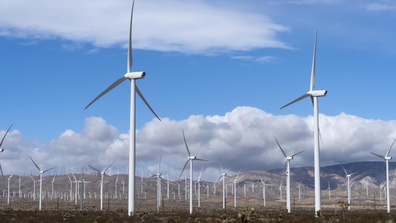 Windmills, Mojave, Calif.