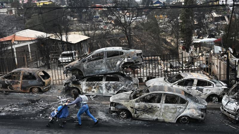 Forest fire destruction, Quilpue, Chile, Feb. 4, 2024