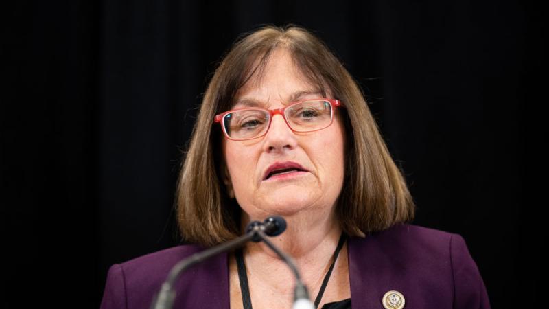 Annie Kuster