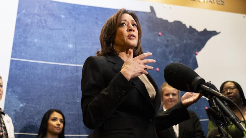 Kamala Harris, March 14, 2024, Saint Paul, Minn.