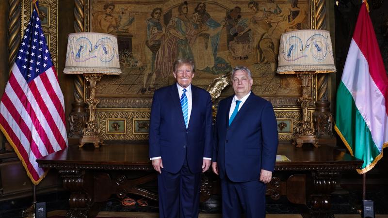 Former President Donald Trump, Hungarian Prime Minister Viktor Orbán meet at Mar-a-Lago on March 8, 2024.