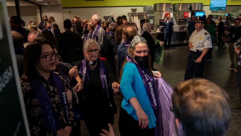 Pro-Palestine demonstration in Senate office building