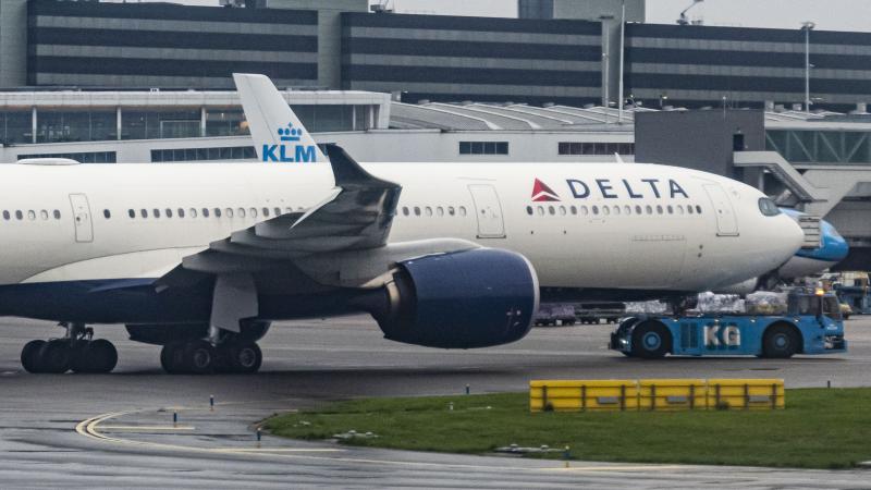 Delta plane