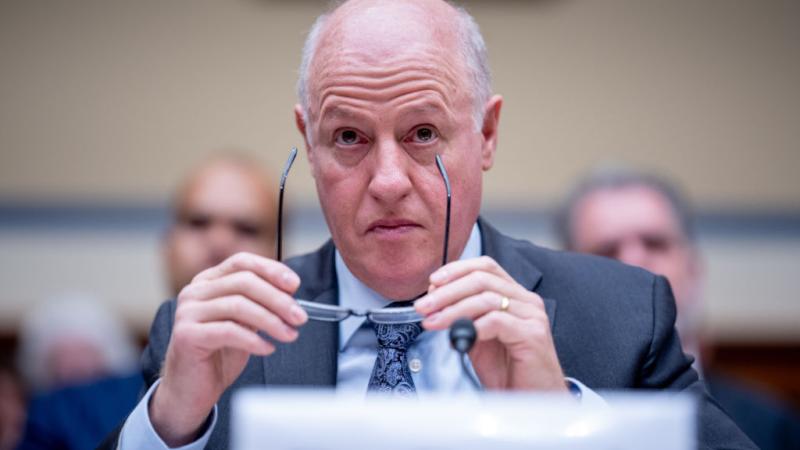 EcoHealth Alliance President Dr. Peter Daszak appears during a House Select Subcommittee hearing on the Coronavirus Pandemic on Capitol Hill on May 1, 2024 in Washington, DC.