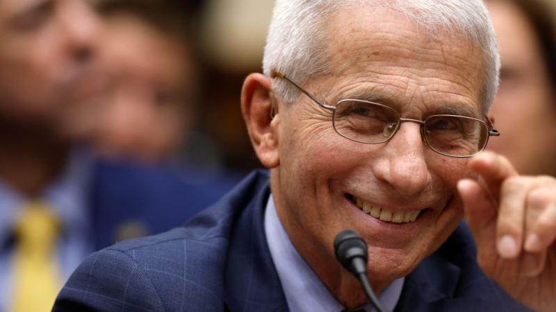 WASHINGTON, DC - JUNE 03: Dr. Anthony Fauci, former Director of the National Institute of Allergy and Infectious Diseases, testifies before Select Subcommittee on the Coronavirus Pandemic