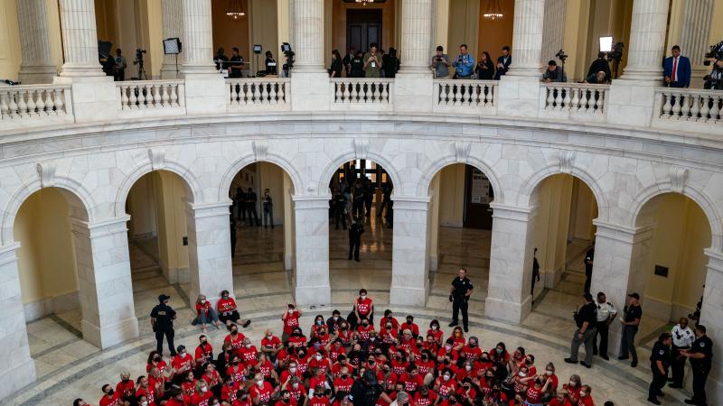 Demonstrators in Cannon rotunda
