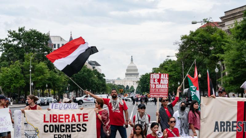 Pro-Palestine Protests