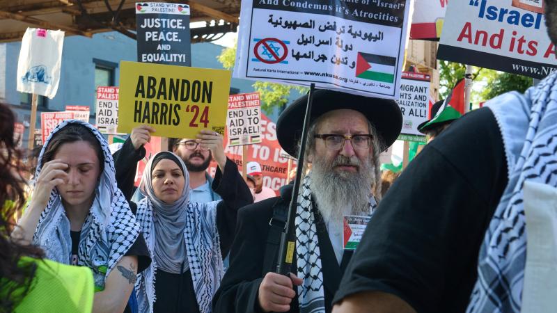 Abandon Harris protesters