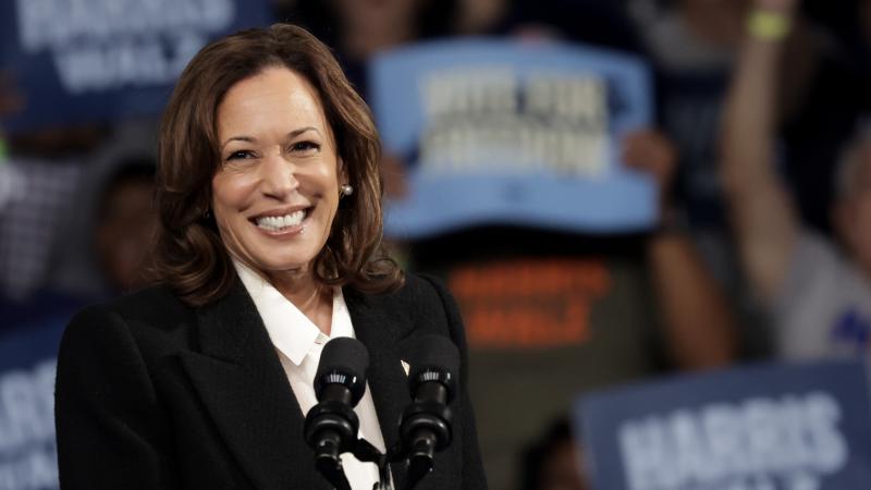 Vice President Kamala Harris