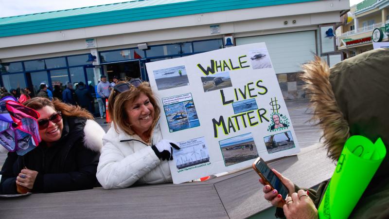 who will sing for the whales