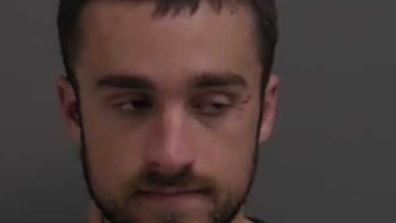 Illinois man Daniel Schmidt was arrested in line to vote