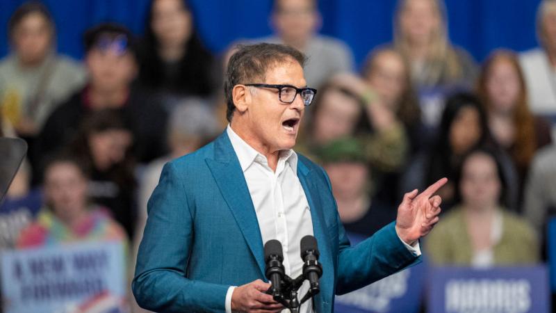 Mark Cuban, campaign surrogate for Kamala Harris