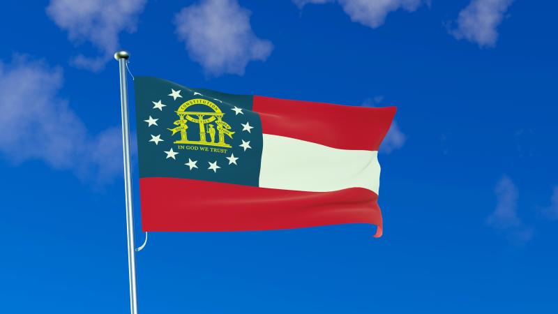 Georgia state flag