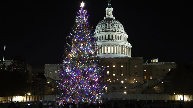 Capitol Christmas tree