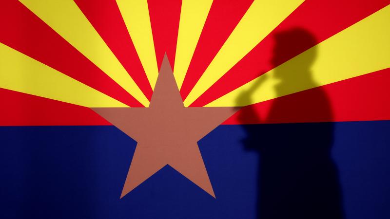 Arizona state flag