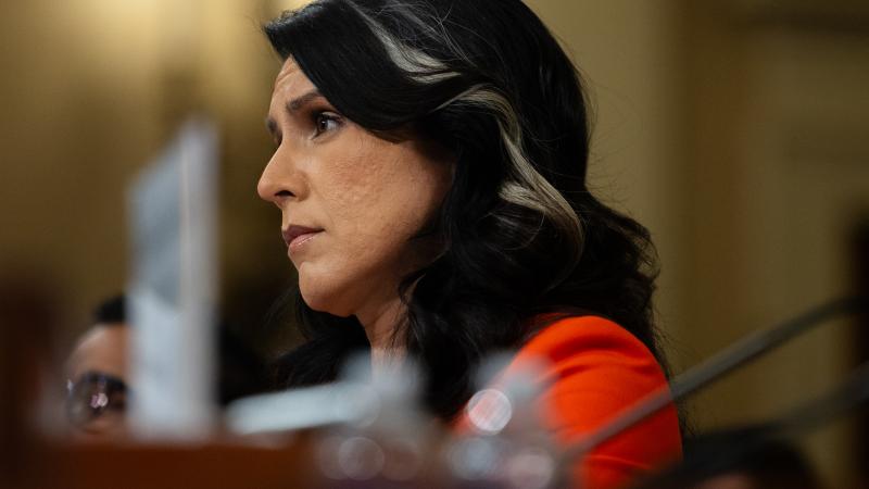 Tulsi Gabbard