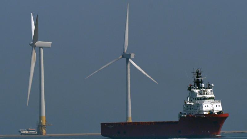 Ship sails past windfarm