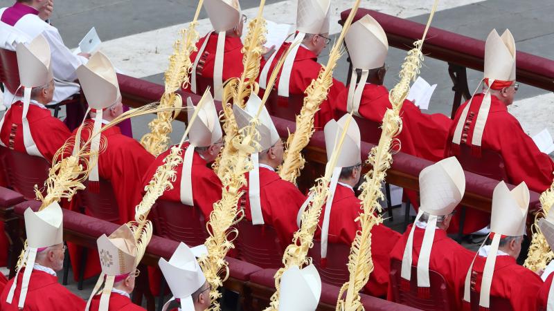 Palm Sunday Mass Celebrated by Cardinal Leonardo Sandri, Delegated by Pope Francis in St. Peters Square