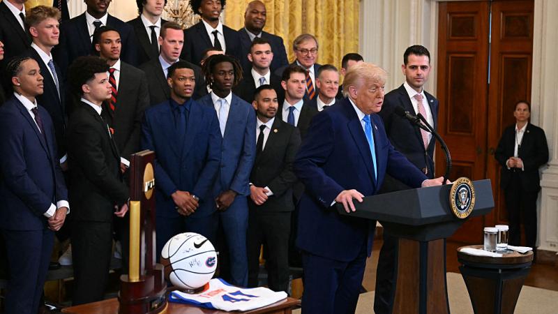 Trump and the gators