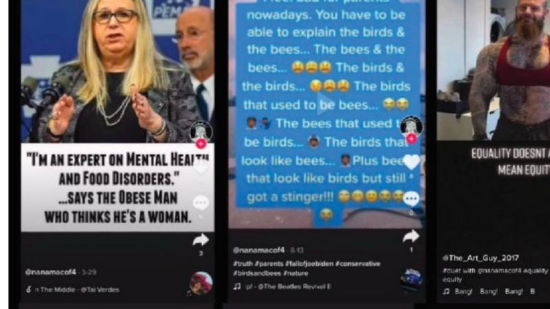 TikTok posts that got educator Kari MacRae fired, reprinted by Justice Clarence Thomas