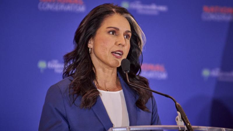 Tulsi Gabbard