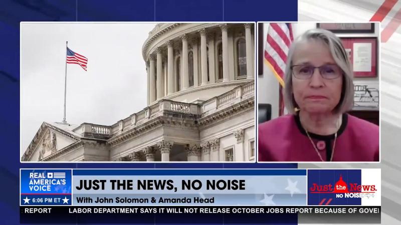 Rep. Marianette Miller-Meeks on Just the News, No Noise