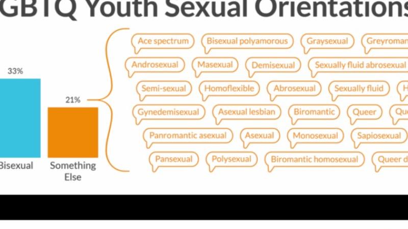 A slide on sexual orientation from San Diego Unified School District's LGBTQ curriculum