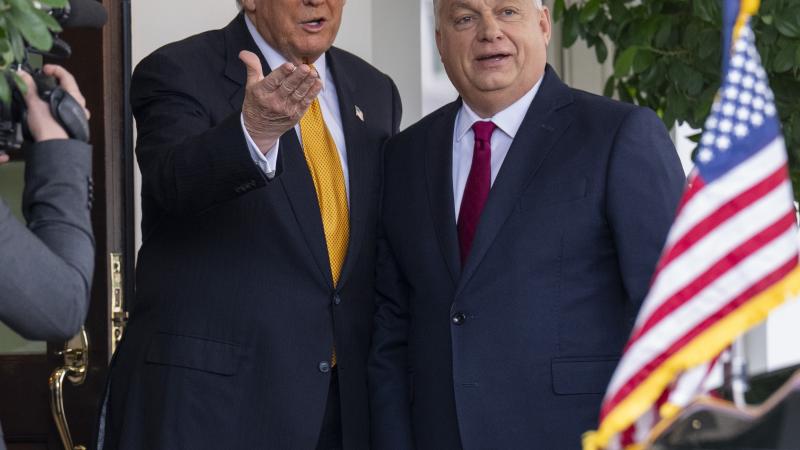 Donald Trump and Viktor Orbán 