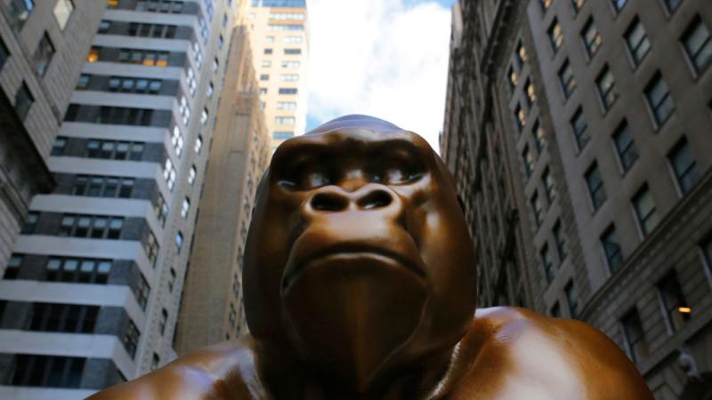 Harambe