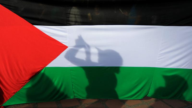 Palestinian flag