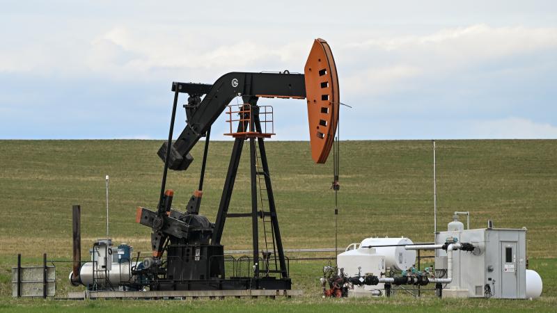 oil 