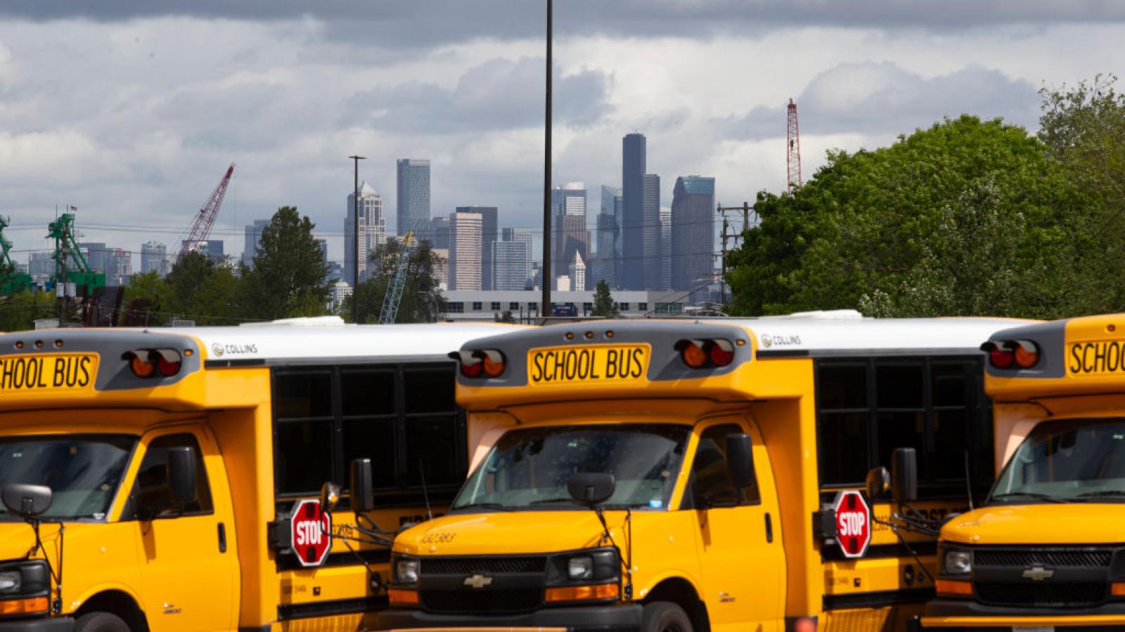 School busses in Seattle, Washington
