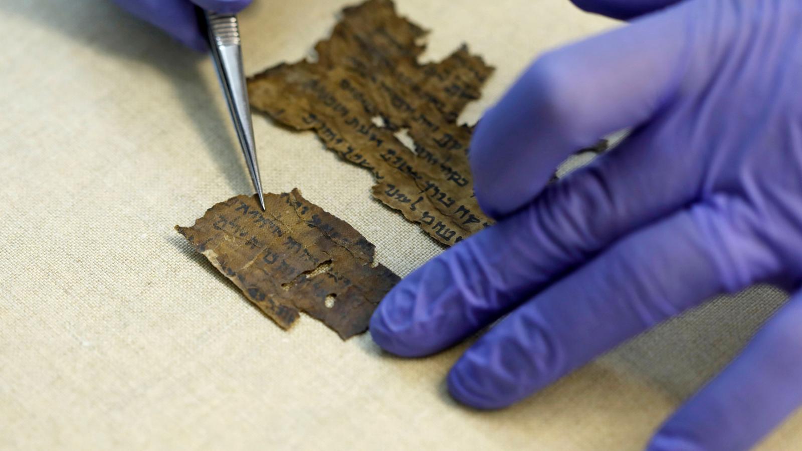 Fragments of the Dead Sea Scrolls