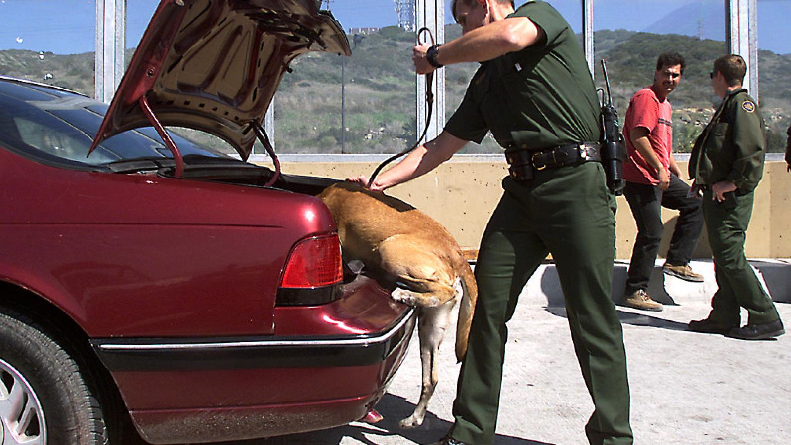 Customs and Border Control