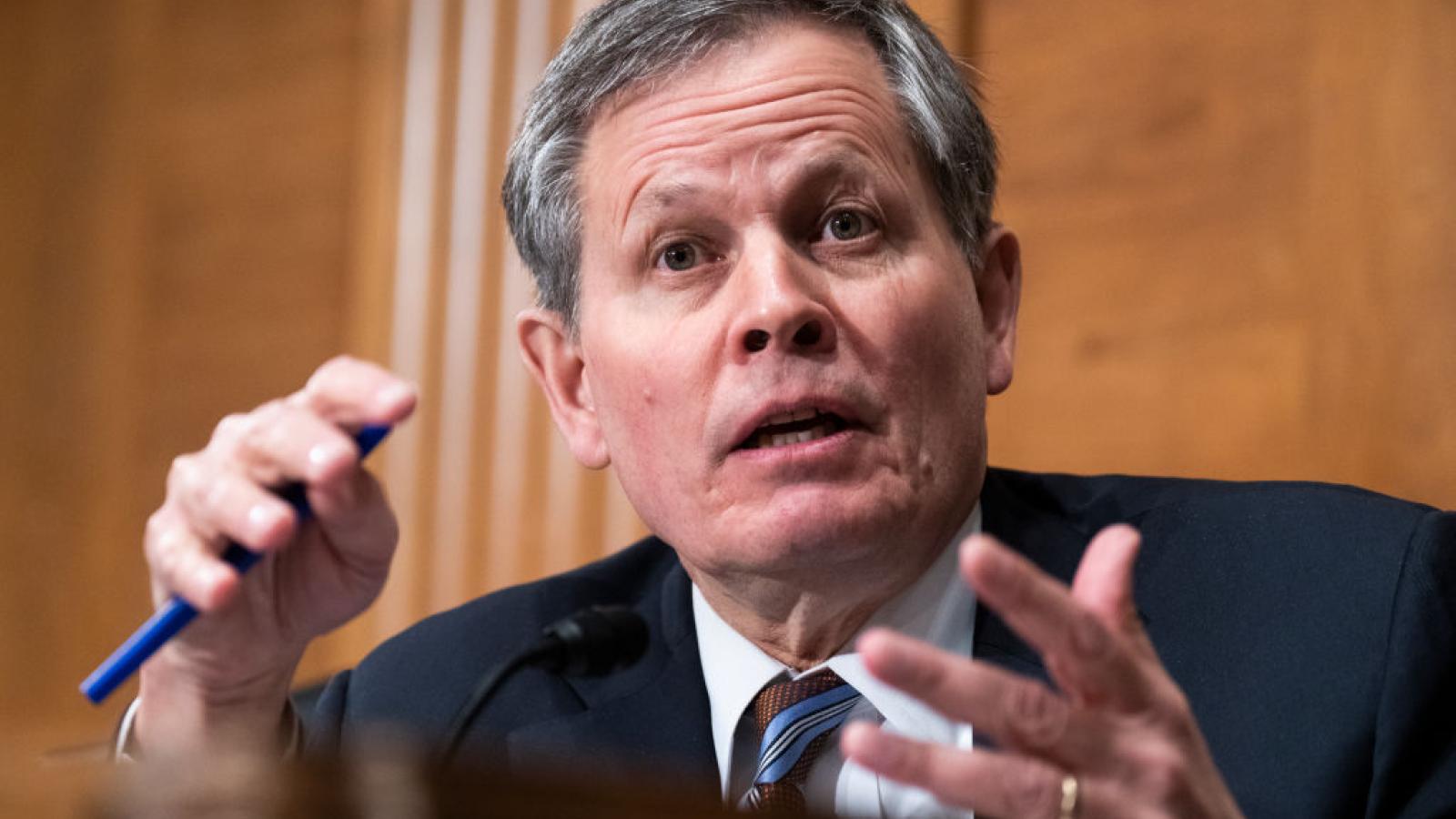 Steve Daines