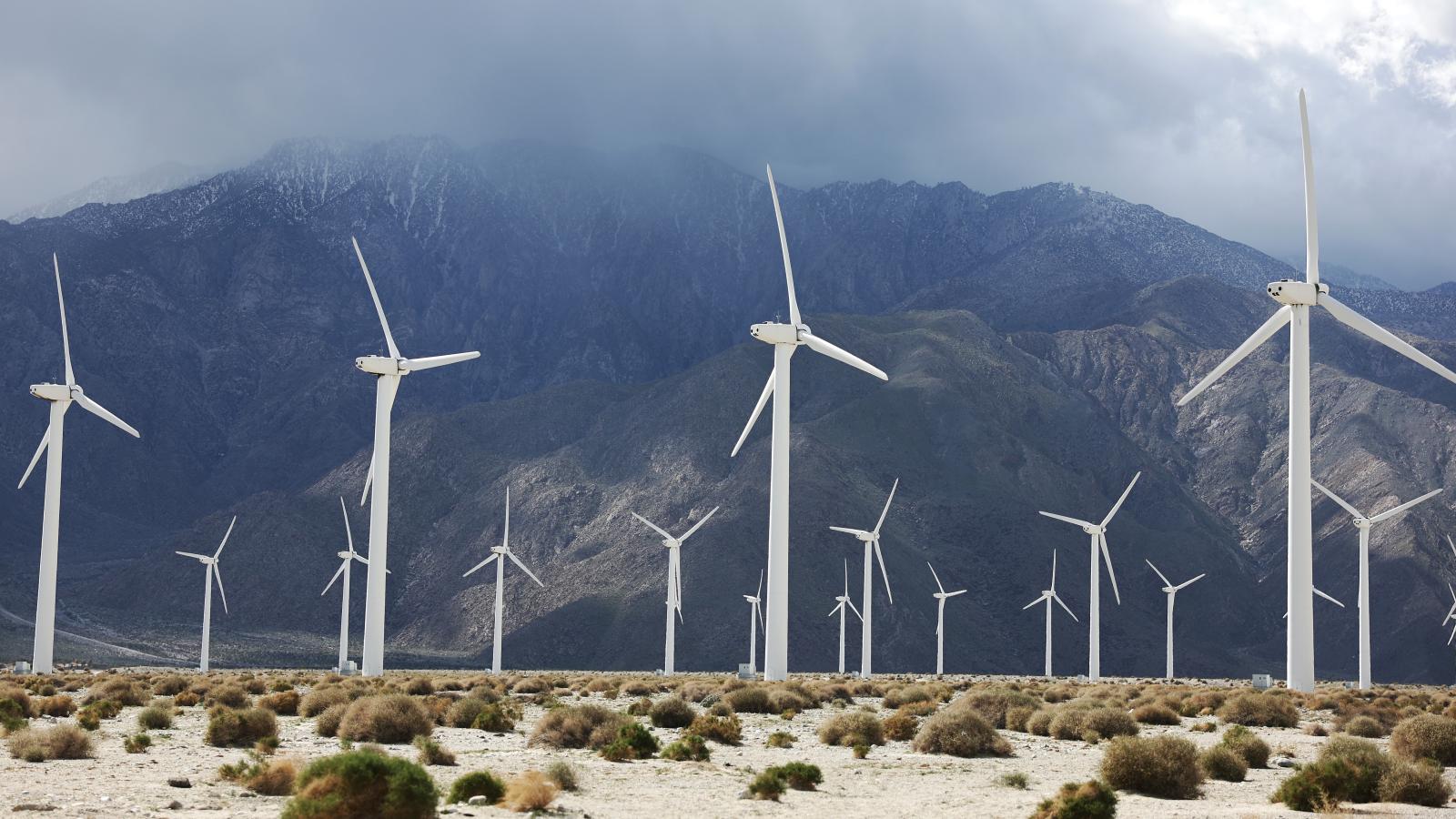Wind turbines in Palm Springs, California.